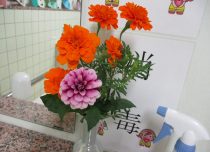 デイサービス　トイレを飾る花