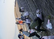 宍道湖の宍道港周辺の清掃活動を実施しました。